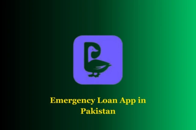 Top-10-Best-Online-Loan-App-in-Pakistan-Without-Interest-duck-Emergency-Loan-App-in-Pakistan